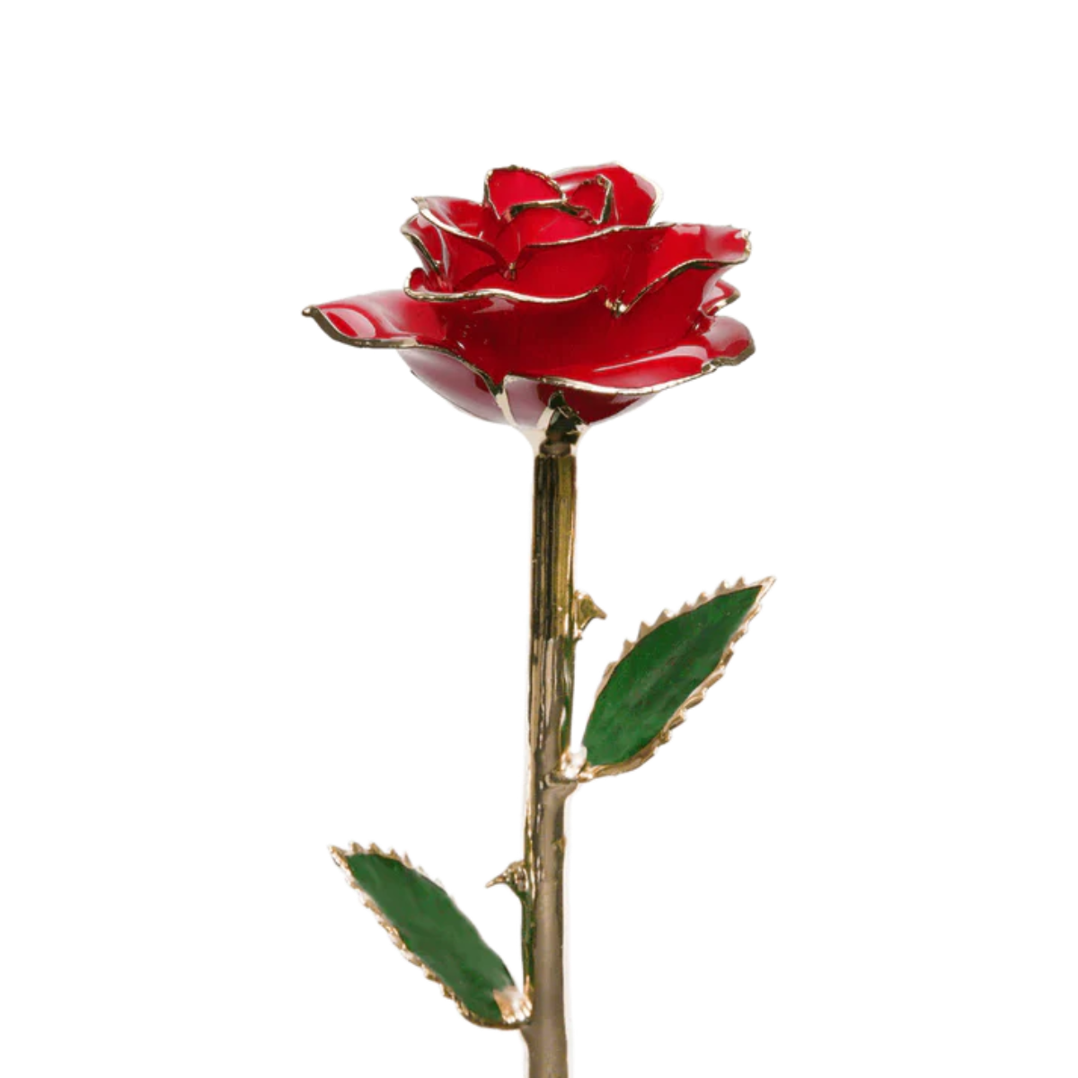 Golden 24k Rose