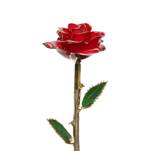 Golden 24k Rose