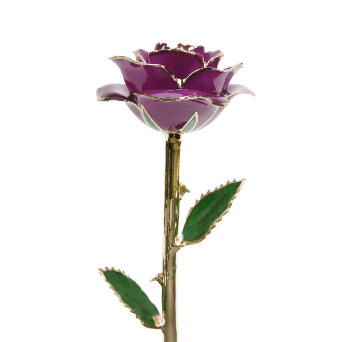 Golden 24k Rose