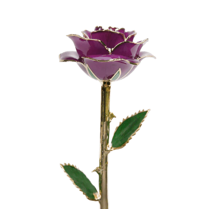 Golden 24k Rose