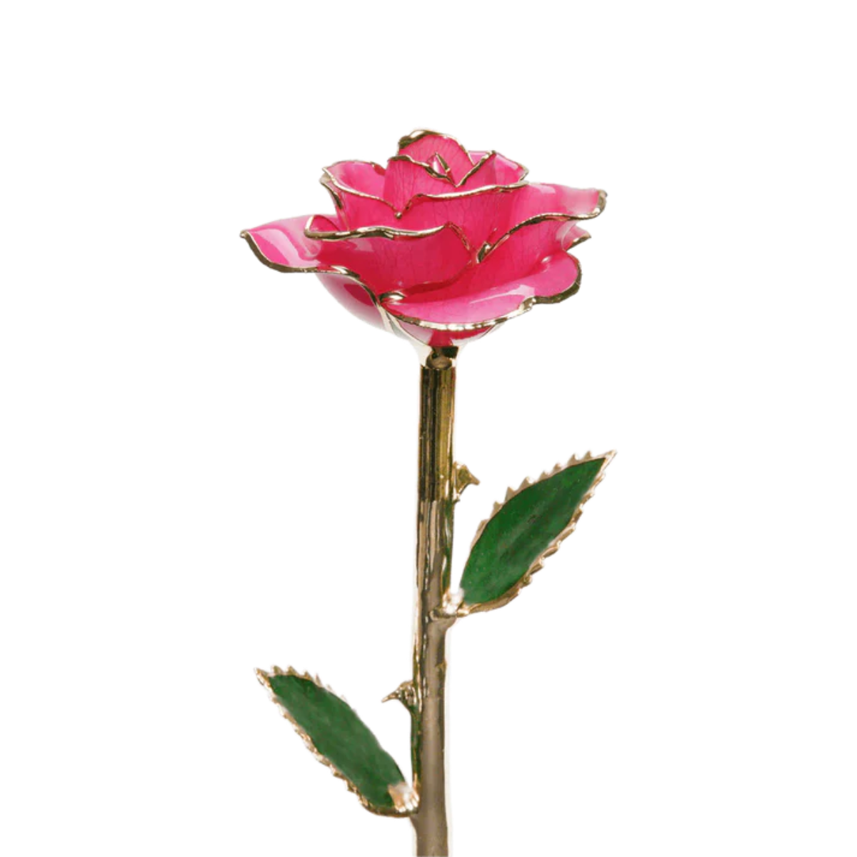Golden 24k Rose