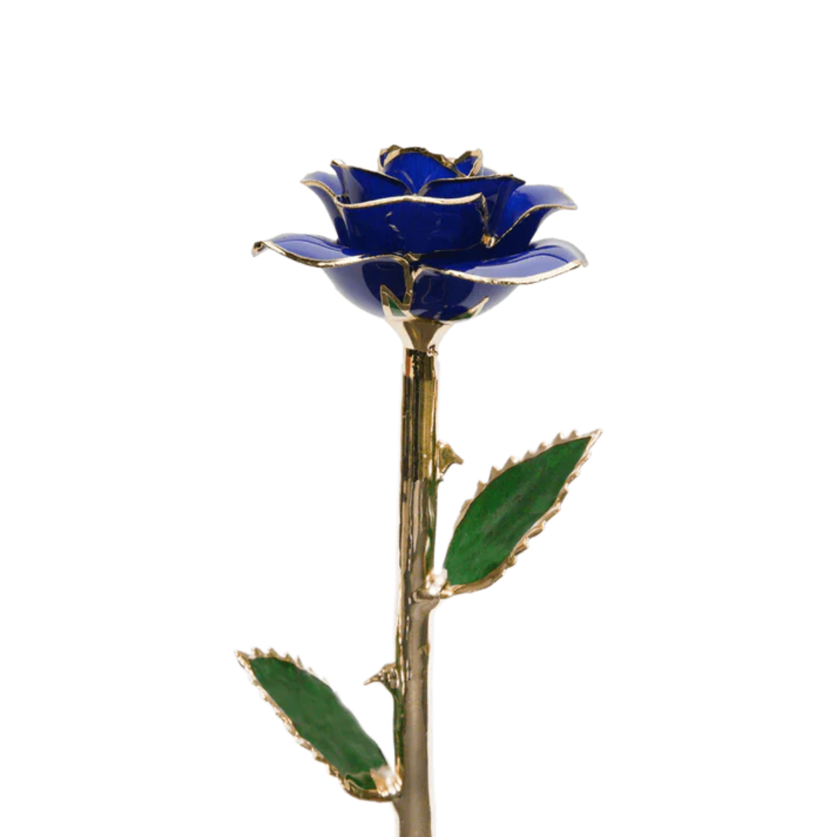 Golden 24k Rose