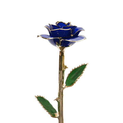 Golden 24k Rose