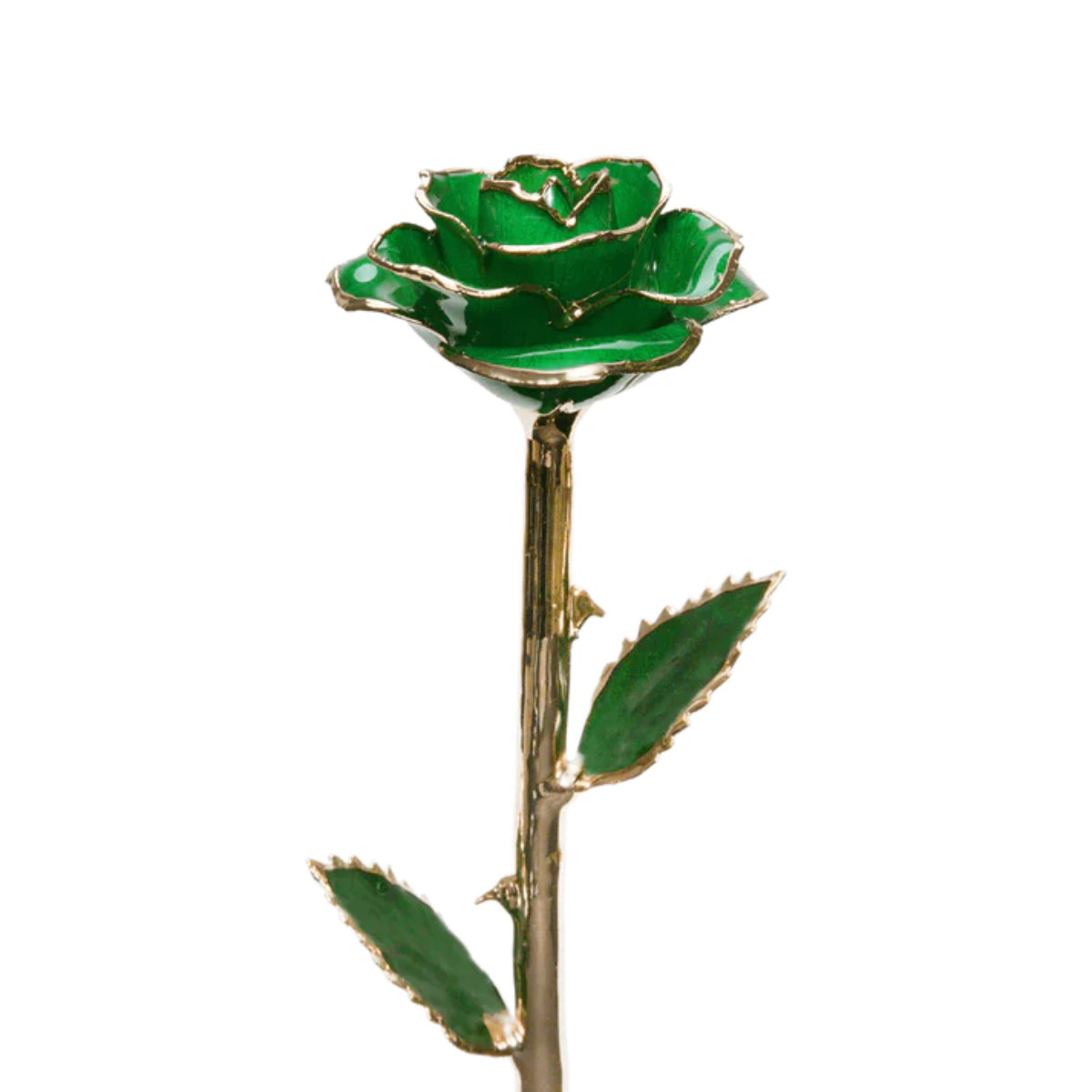 Golden 24k Rose