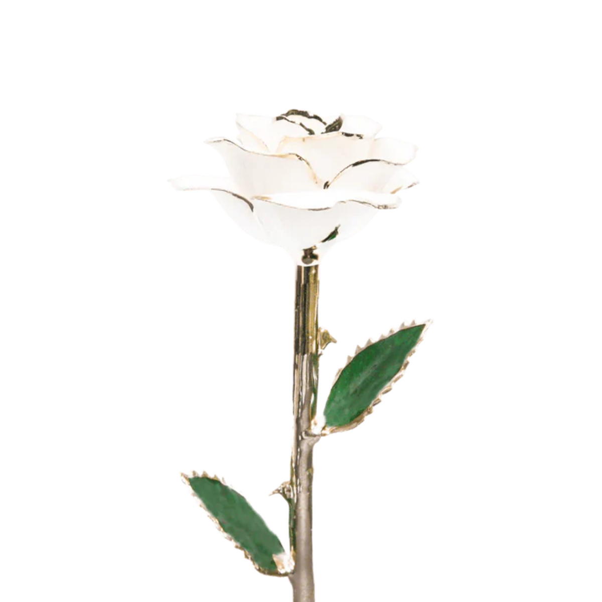 Golden 24k Rose