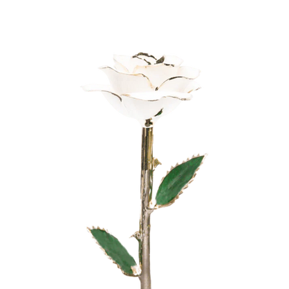 Golden 24k Rose