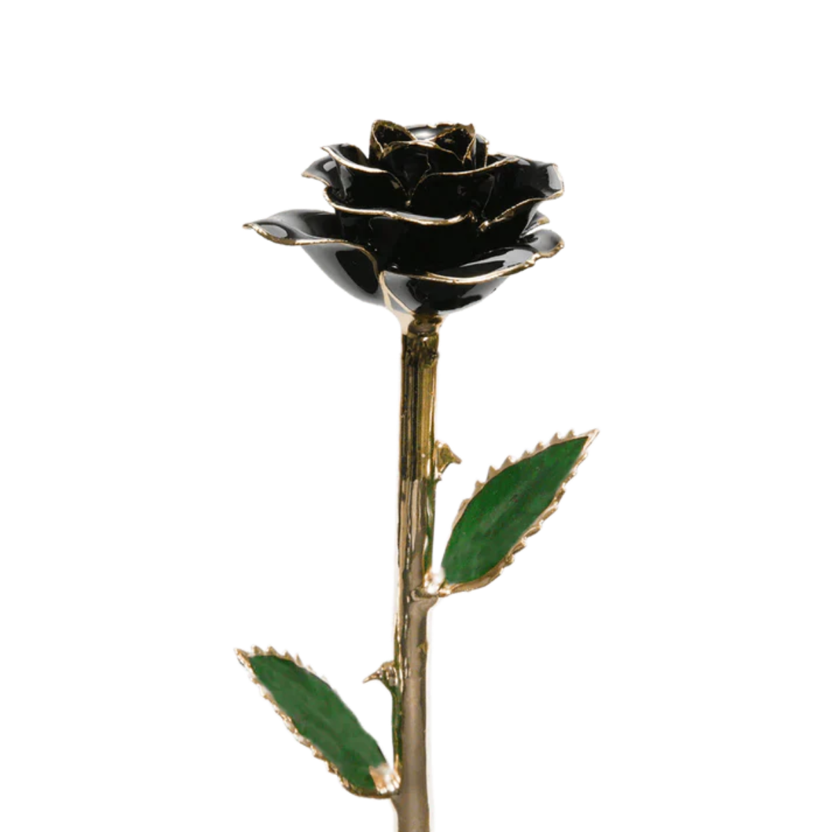 Golden 24k Rose