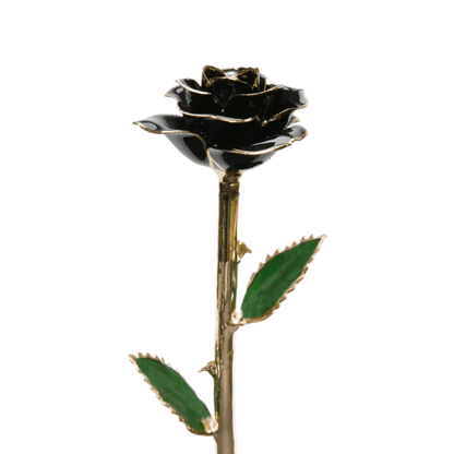 Golden 24k Rose