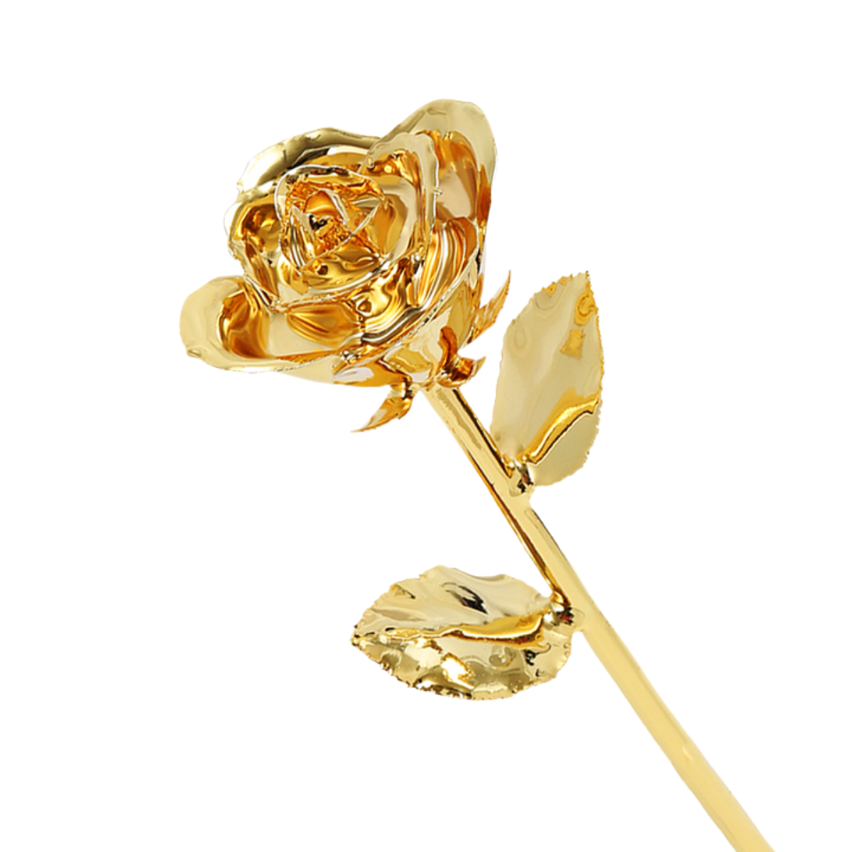 Golden 24k Rose