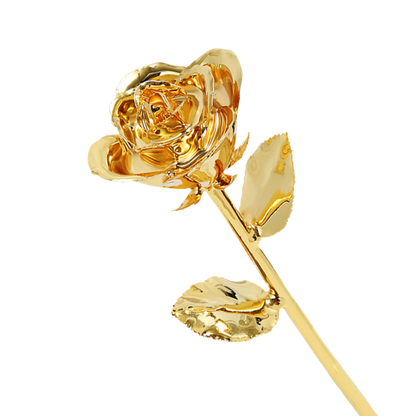 Golden 24k Rose